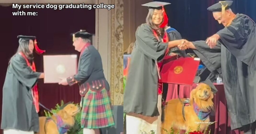 Video: Service Dog Graduates & Walks Alongside Owner During Ceremony